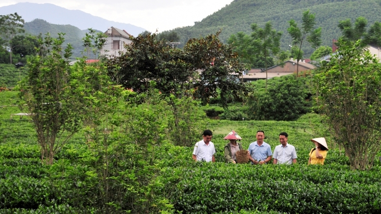 Khuyến nông đồng hành khai thác tiềm năng nông nghiệp tuần hoàn gắn với du lịch (23/10/2025)