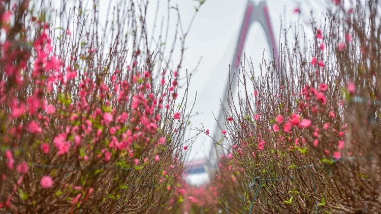 Thời sự 21h30 13/10/2025: Thủ tướng đồng ý phương án nghỉ Tết Bính Ngọ 9 ngày liên tục