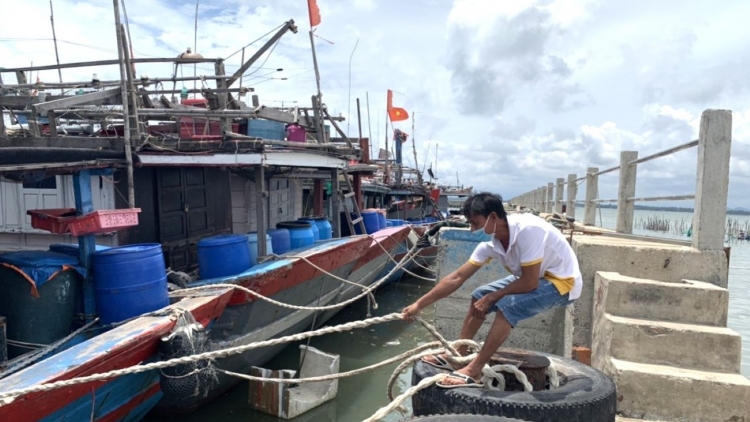 TP Huế: Khẩn trương ứng phó mưa lớn do ảnh hưởng bão số 12 