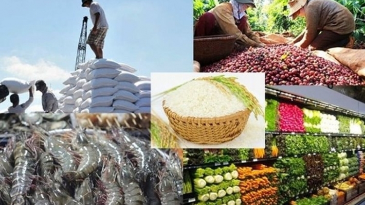 Đa dạng hóa thị trường, gia tăng xuất khẩu nông sản cuối năm (21/10/2025)