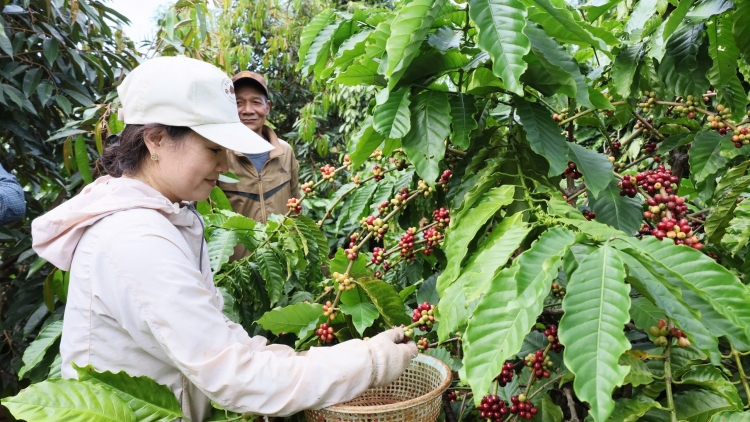 Theo dòng thời sự sáng 21/10/2025