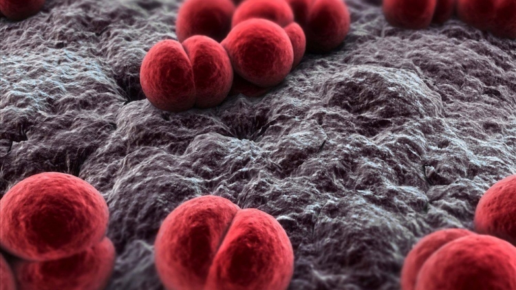 Ghi nhận ca mắc não mô cầu, Hà Nội khuyến cáo phòng dịch bệnh truyền nhiễm nguy hiểm