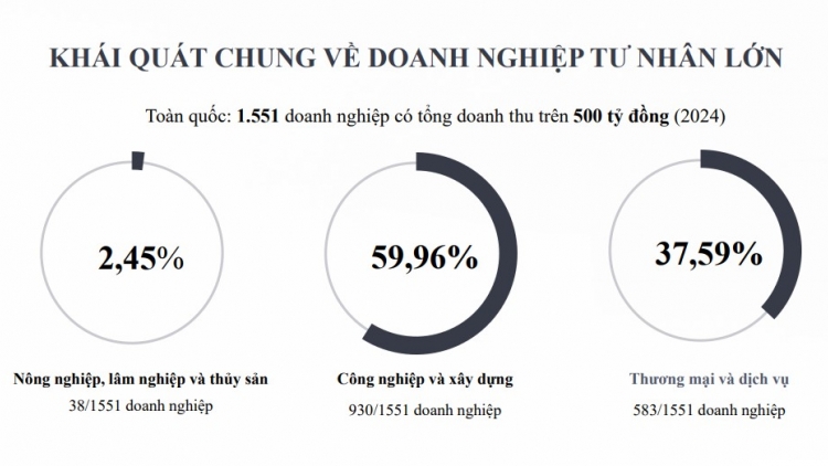 Hoàn thiện chính sách hỗ trợ phát triển doanh nghiệp tư nhân “sếu đầu đàn”