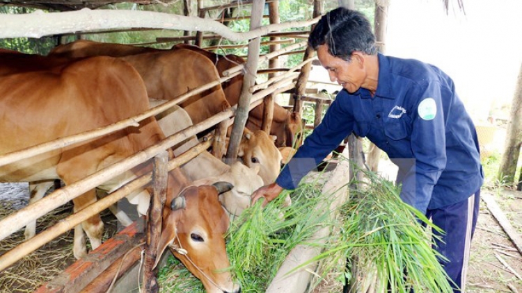 Phát huy vai trò của đảng viên, cựu chiến binh trong xóa đói giảm nghèo bền vững