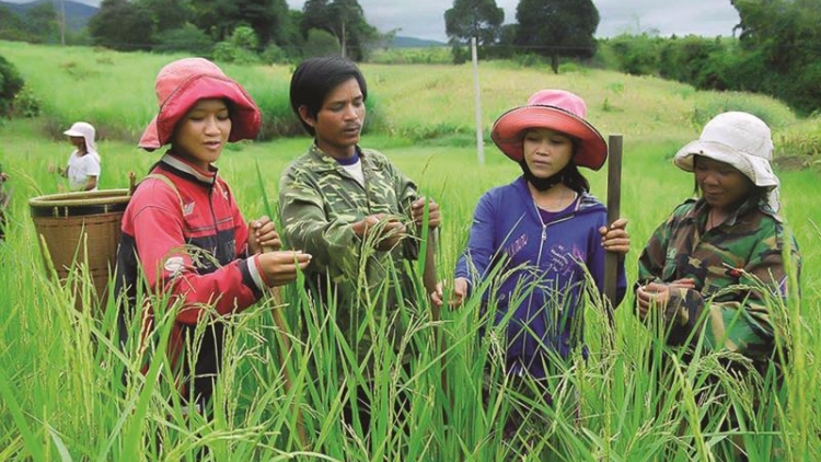 Giảm nghèo bền vững và thực chất: đâu là giải pháp?