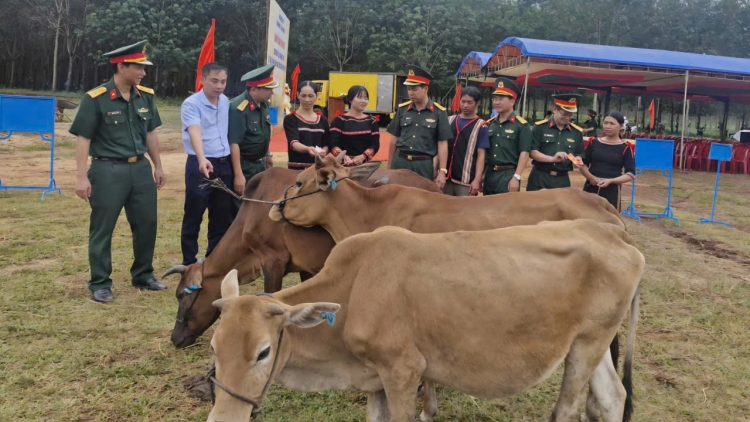 Nhiều mô hình vận khéo kết nối sức mạnh quân - dân ở Gia Lai (08+09/11/2025)