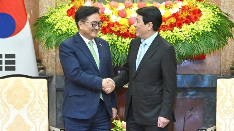 Chủ tịch nước Lương Cường hội kiến Chủ tịch Quốc hội Hàn Quốc Woo Won Shik   