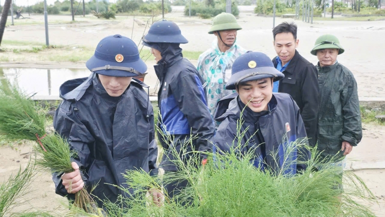 Tuổi trẻ Hải đội 102 trồng hơn 10.000 cây phi lao phục hồi rừng chắn sóng 