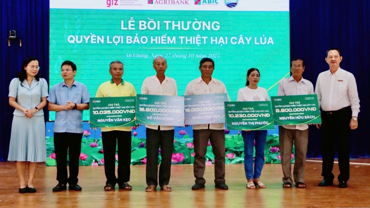 ABIC chi trả gần 62 triệu đồng tiền bảo hiểm cây lúa cho nông dân xã An Phú, tỉnh An Giang
