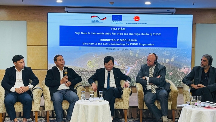 Eu hỗ trợ Việt Nam trong việc thực thi Quy định chống phá rừng của Liên minh châu Âu được hiệu quả