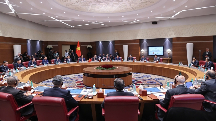 Thời sự 21h30 19/11/2025: Thủ tướng Phạm Minh Chính hội đàm với Thủ tướng Algerria Sifi Ghrieb