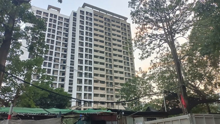 Theo dòng thời sự sáng 14/11/2025