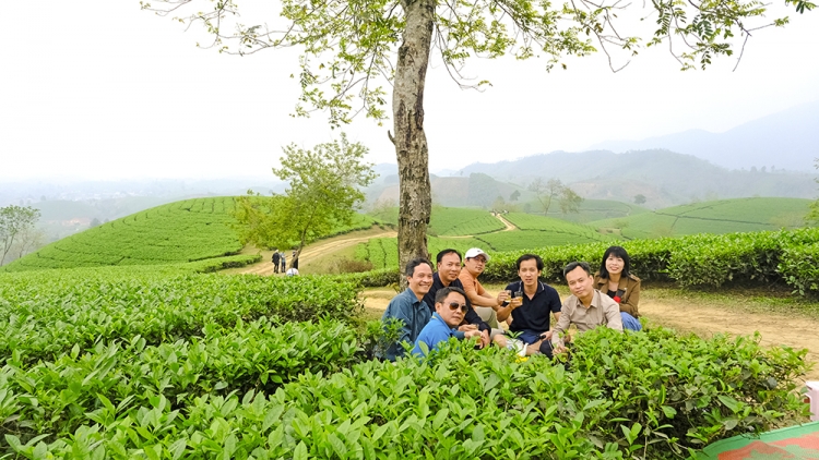 Mô hình tổ liên kết nông nghiệp giúp người dân giảm nghèo bền vững 