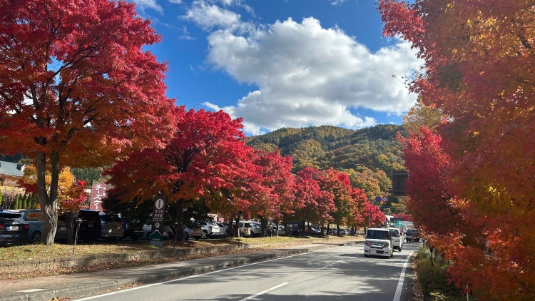 Nhật Bản trải qua ba mùa trong một ngày