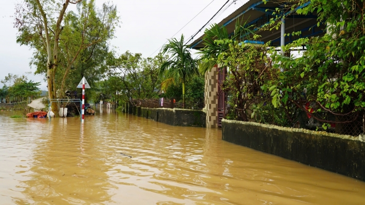 Bản tin 9h 1/11/2025