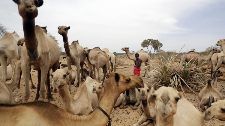 Theo dòng thời sự sáng 21/11/2025