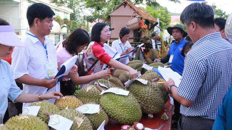 Thêm mã số vùng trồng, nâng cao giá trị thương hiệu sầu riêng Khánh Sơn