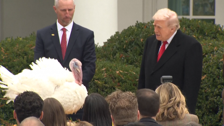 Tổng thống Trump ân xá cho hai chú gà tây, bắt đầu các hoạt động của lễ Tạ ơn