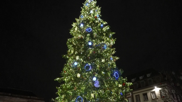 Strasbourg thắp sáng cây thông khổng lồ, mở màn mùa lễ hội Giáng sinh