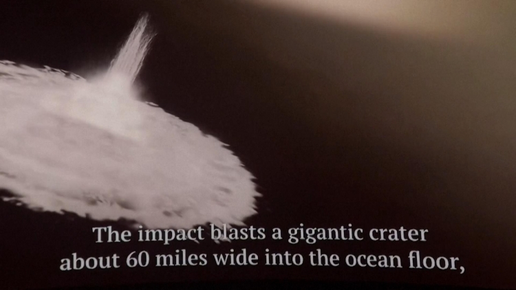 Vụ va chạm cách đây 66 triệu năm - tái sinh của sự sống