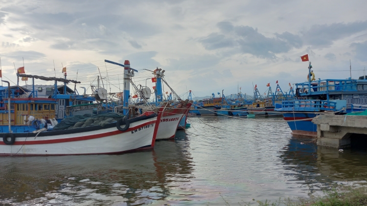 Khánh Hòa đưa hơn 3.400 tàu thuyền vào bờ an toàn trước bão số 15