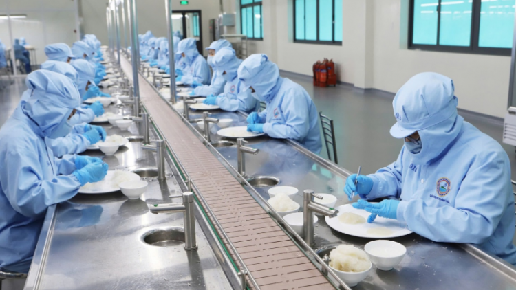 Phát triển ngành yến sào Việt Nam gắn với bảo tồn thiên nhiên