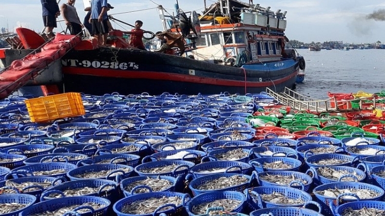 Đồng bằng Sông Cửu Long nỗ lực sớm gỡ thẻ vàng vàng IUU