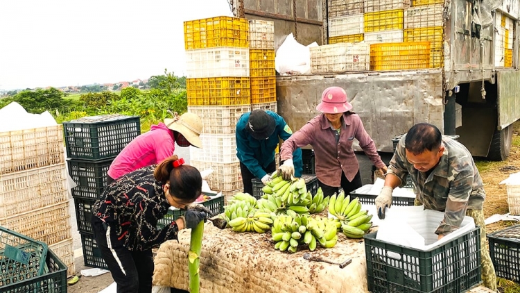 Nhiều chính sách hỗ trợ, khơi dậy tinh thần, tạo động lực cho đồng bào nghèo vươn lên