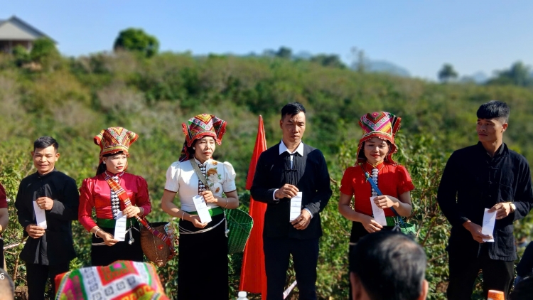 Cà phê Arabica: Sinh kế thoát nghèo ở bản làng Chiềng An, Sơn La (19/11/2025)