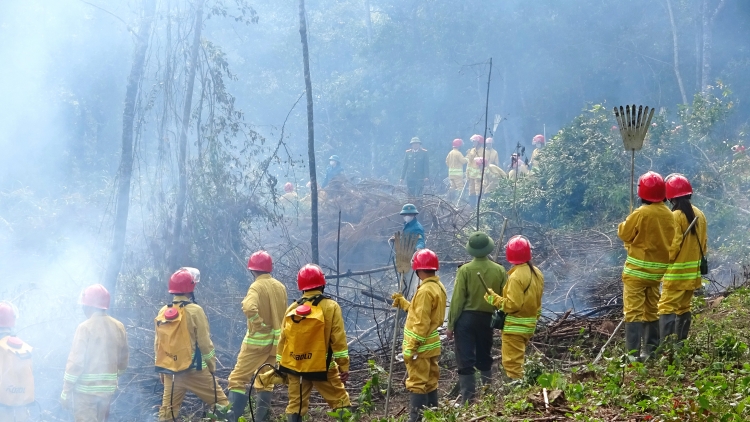     Thái Nguyên chủ động ứng phó nguy cơ cháy rừng từ cơ sở