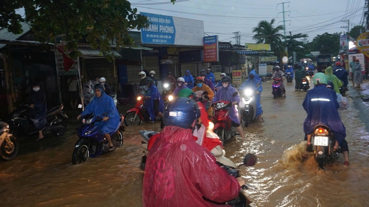 Bản tin 9h 3/11/2025