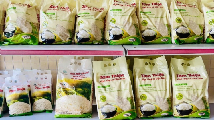 Gạo séng cù - hạt ngọc quý của vùng Tây Bắc