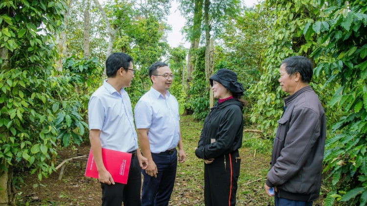 Theo dòng thời sự sáng 4/11/2025