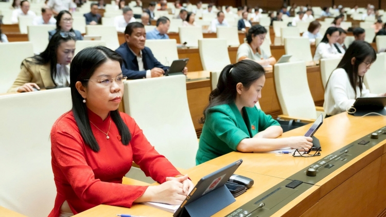 Bản tin 15h 18/11/2025