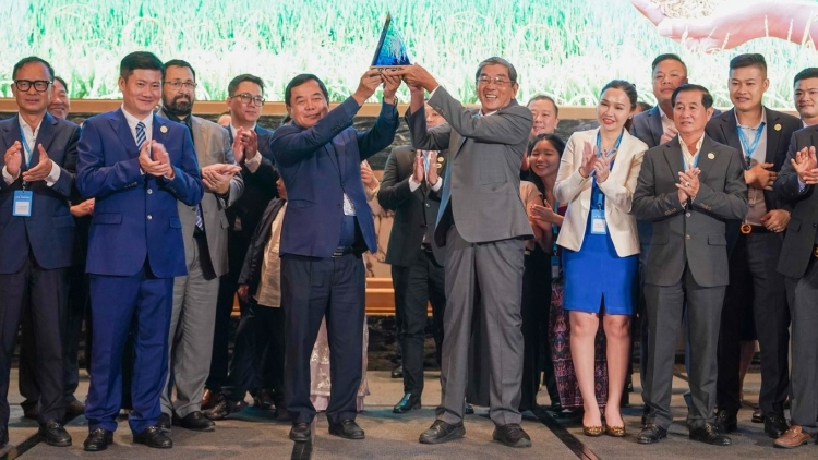 bản tin 15h 9/11/2025: 