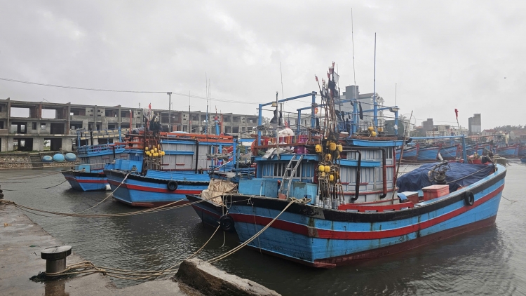 Quảng Ngãi gió mạnh, mưa lớn; hoàn tất di dời dân, tăng cường trực chiến ứng phó bão số 13