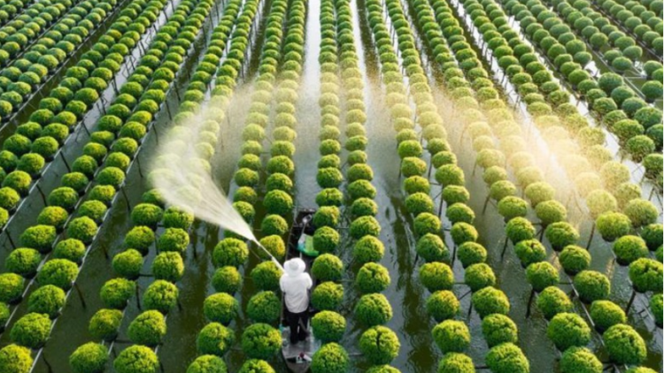 Theo dòng thời sự chiều 17/112025