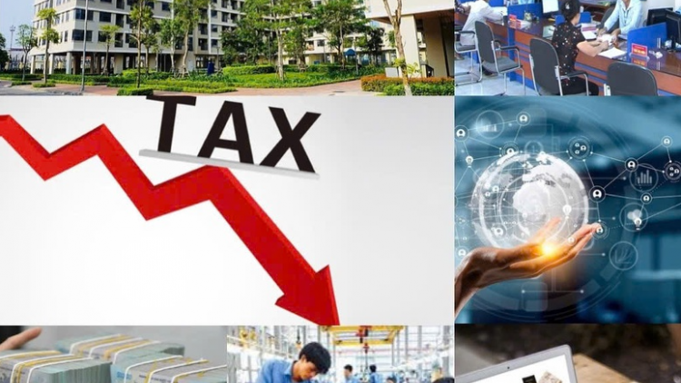 Quyết tâm cắt giảm hơn 2.000 thủ tục hành chính tạo môi trường minh bạch trong kinh doanh