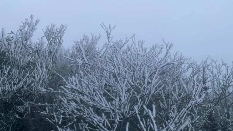 Thời tiết ngày 16/11/2025: Bắc Bộ rét về đêm, Trung Bộ tiếp tục mưa lớn