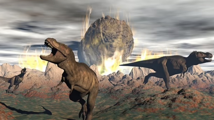 Theo dòng thời sự chiều 20/11/2025