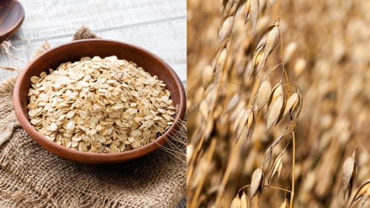 Theo dòng thời sự chiều 3/11/2025