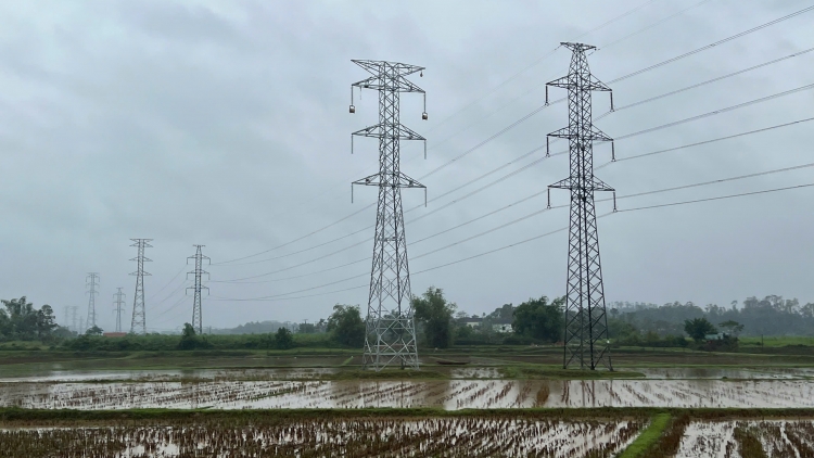 Theo dòng thời sự sáng 7/11/2025