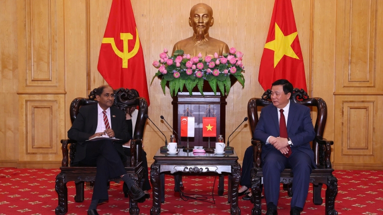 Ông Nguyễn Xuân Thắng tiếp và làm việc với Đại sứ Singapore và Đại sứ Ireland tại Việt Nam