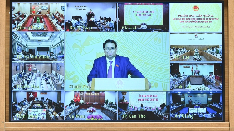 Bản tin 9h 12/11/2025