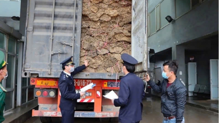 Hải quan Khu vực XI: hướng tới hải quan thông minh năm 2030