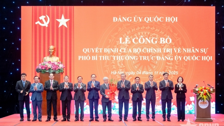 Bản tin 9h 4/11/2025