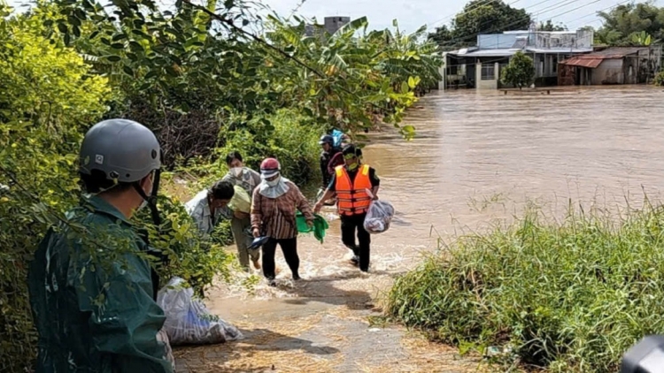Bản tin 15h 5/12/2025 