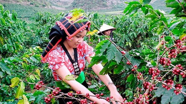 Chuyển đổi cơ cấu cây trồng, vật nuôi, đa dạng sinh kế giúp người dân thoát nghèo bền vững