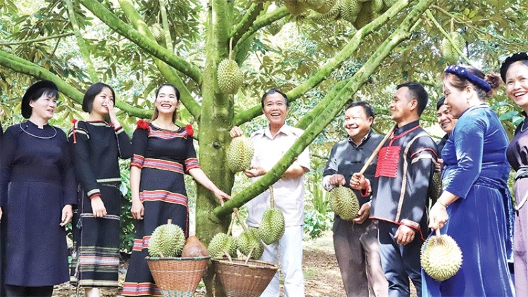 Mùa vàng lệch vụ, giá trị tỉ đô- động lực tăng trưởng bền vững của Đắk Lắk