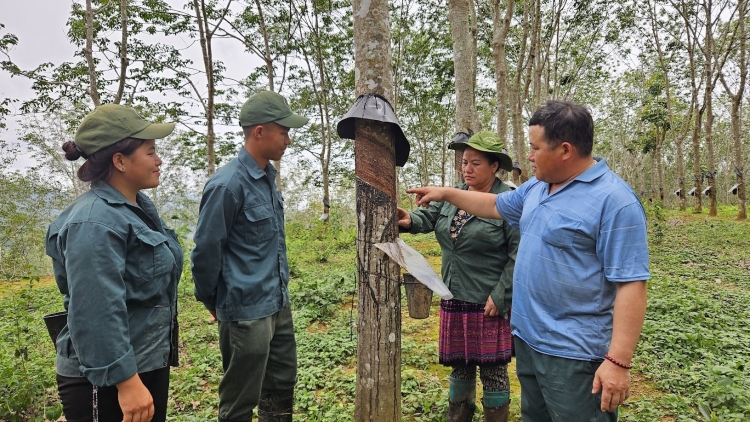 VRG – Vững gốc Đảng, xanh hóa kinh tế, bền lòng biên cương